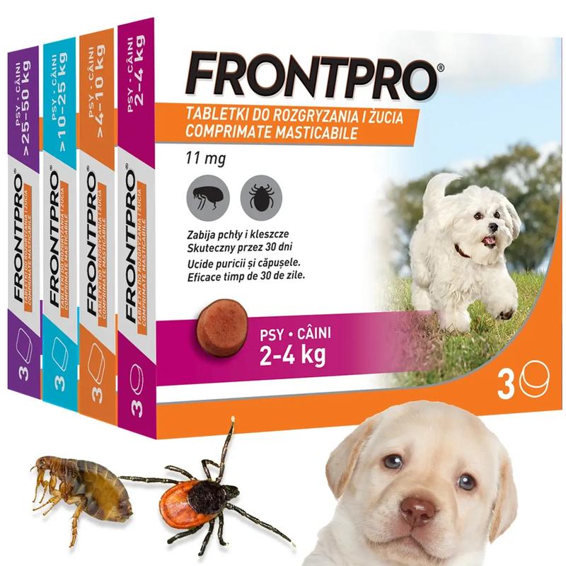 Objawy ukąszenia kleszcza i reakcja